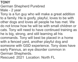 TONY German Shepherd PurebredMale - 2 year Tony is a fun guy who will make a great addition to a family. He is goofy, playful, loves to be with other dogs and loves all people he has met. We do not know how he will be with small children or cats. Tony will need to have continued training as he is big, strong, and still learning all his commands. Tony will best be placed in a home with a fenced yard, another playful dog and someone with GSD experience. Tony does have early Pannus, an eye disorder common in German Shepherds.Rescued: 2021  Location: North FL